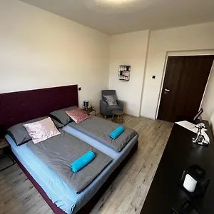 large-3-bedroom-apartment-with-billiard-karlovy-vary.karlovyvary-hotels.com/